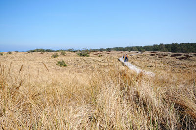 Grassy field on sunny day against blue sky