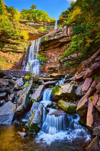 Scenic view of waterfall in forest