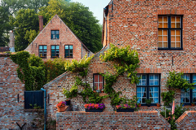 Old housesof begijnhof beguinage with flowers in bruges, belgium