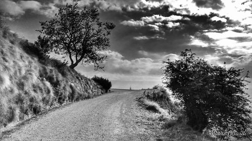 Road amidst trees against sky