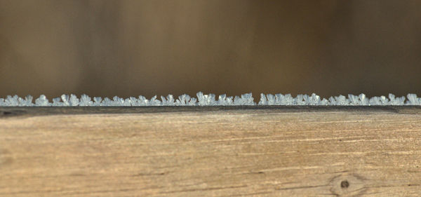 Close-up of wood on table against bright sun