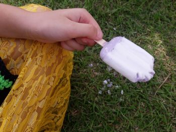 High angle view of woman hand holding grass