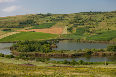 Rural fields and meadows from romania.