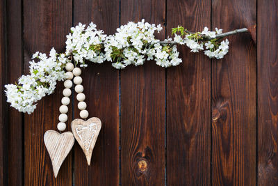 Directly above view of flowers on wooden door