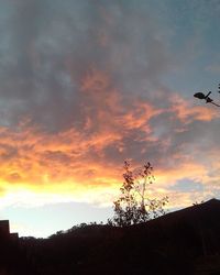 Silhouette of tree against dramatic sky