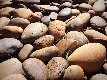 Full frame shot of potatoes