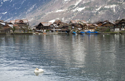 Iseltwald, switzerland - views of iseltwald and brienzersee in the canton of bern in switzerland