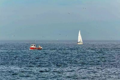 Boat sailing in sea