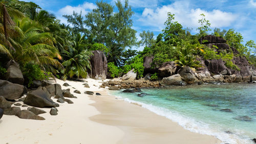 Scenic view of beach against sky