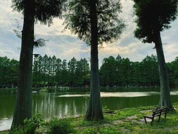 Trees by lake against sky