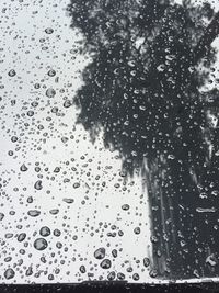 Close-up of water drops on ground