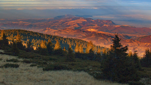 Scenic view of landscape against sky during sunset