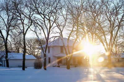 Bare trees on snow covered landscape during sunset