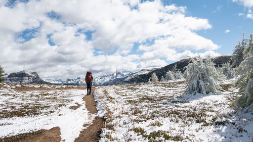 Hiker walking on a snowy trail, mt assiniboine provincial park, canada