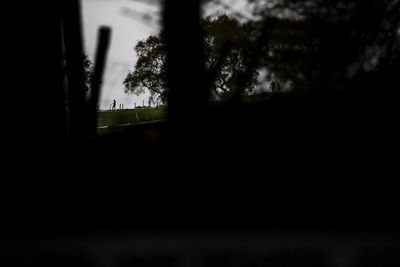 Silhouette trees on field against sky