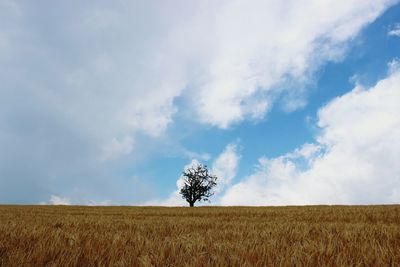 Scenic view of field against cloudy sky