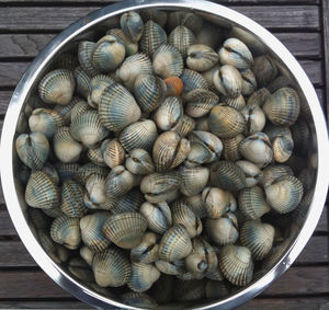 Close-up of sweet food in container