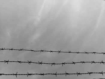 Low angle view barbed wire against sky