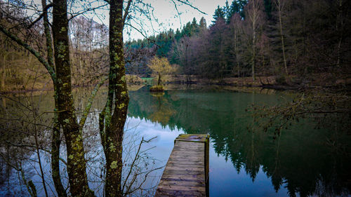 Scenic view of lake in forest against sky