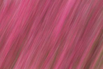 Full frame shot of multi colored background
