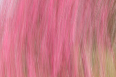 Full frame shot of multi colored background