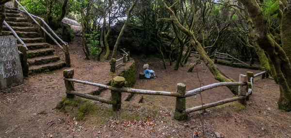 High angle view of staircase by trees in forest