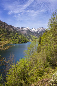 Scenic view of lake in forest against sky