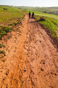 Dirt road passing through field