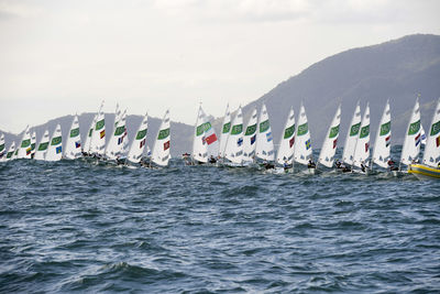 Sailboats sailing in sea against sky