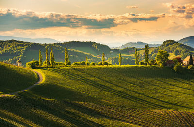 Scenic view of field against sky during sunset