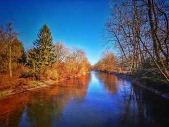 Scenic view of river in forest against clear blue sky