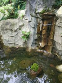 Stream flowing through rocks