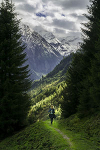 Rear view of people on snowcapped mountain