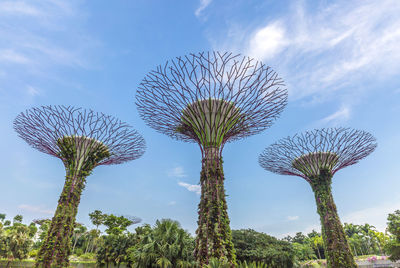 Low angle view of flowering plant against sky