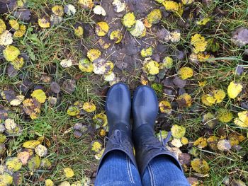 Low section of man standing on autumn leaves