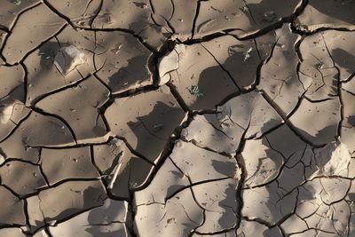 Full frame shot of drought field