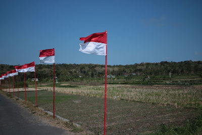 Red flag on field against sky