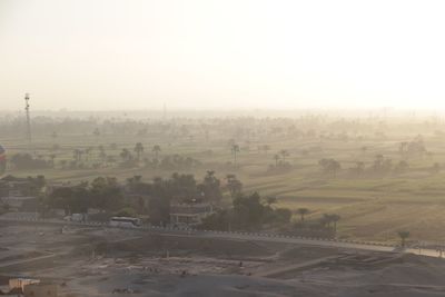 Trees on field against sky