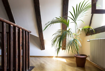 Interior of empty attic floor living room with dark beams ceilings and palm leaves in flower pot 