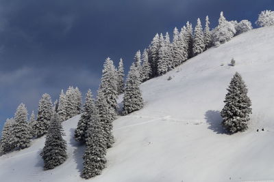 Close-up of snow on sand against sky