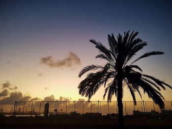 Silhouette palm trees against sky during sunset