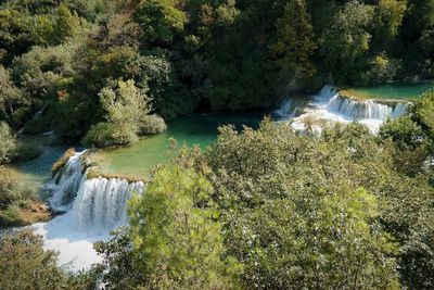 Scenic view of waterfall in forest