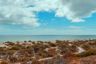 Scenic view of sea against sky