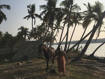 Horse cart on palm trees by sea against sky