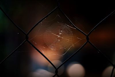 Close-up of spider web