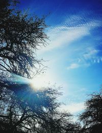 Low angle view of silhouette trees against sky at sunset