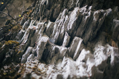 Low angle view of rocks