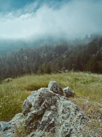 Rocks on land against sky