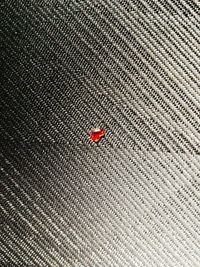 Full frame shot of ladybug