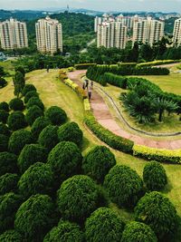 High angle view of trees in city